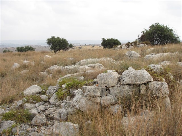 קובץ:שומרות(2).jpg