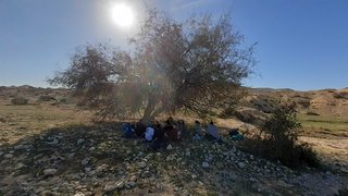 קובץ:11.jpg