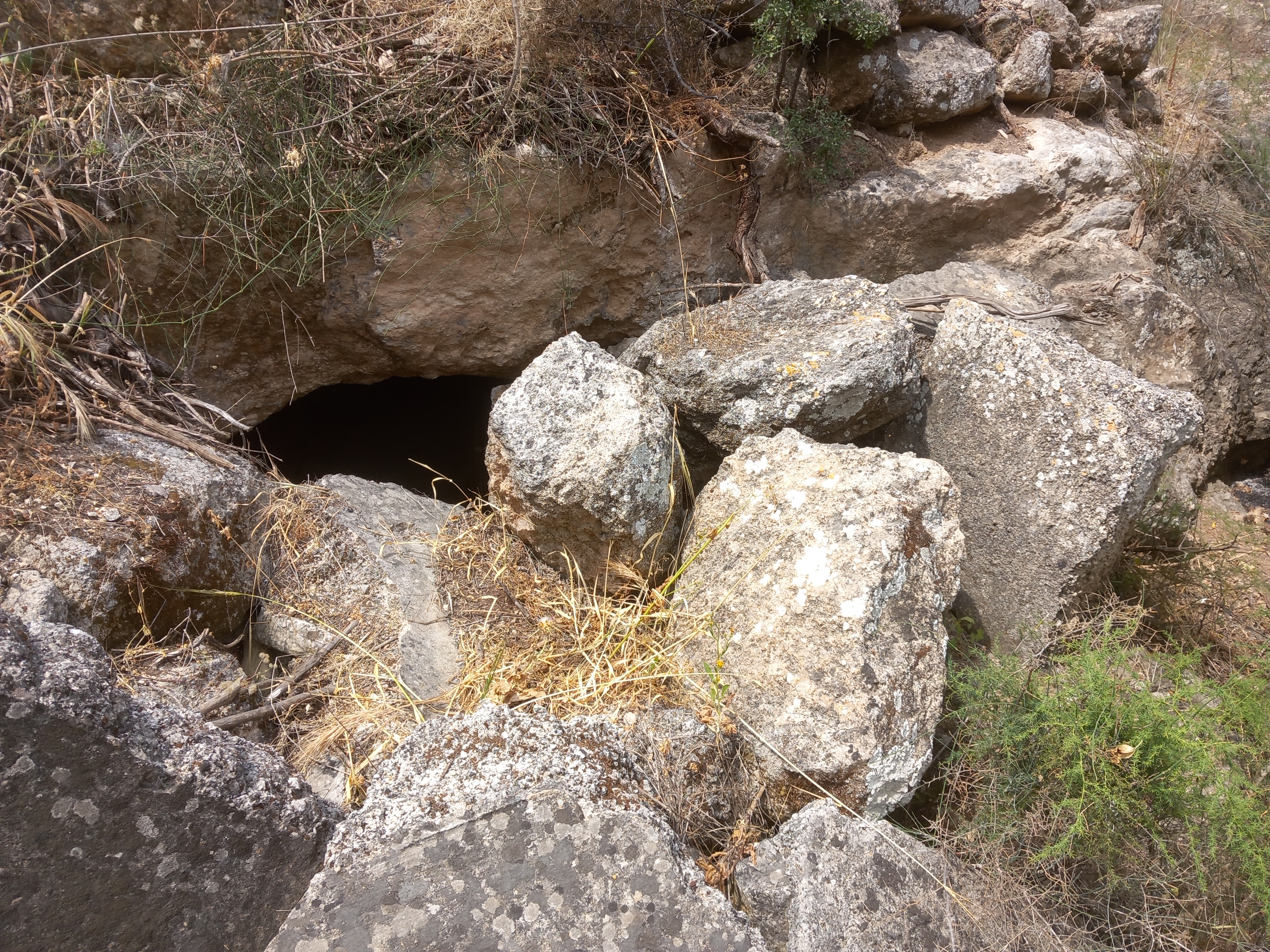 קובץ:2025-05-04T10 46 46.246263860689.jpg
