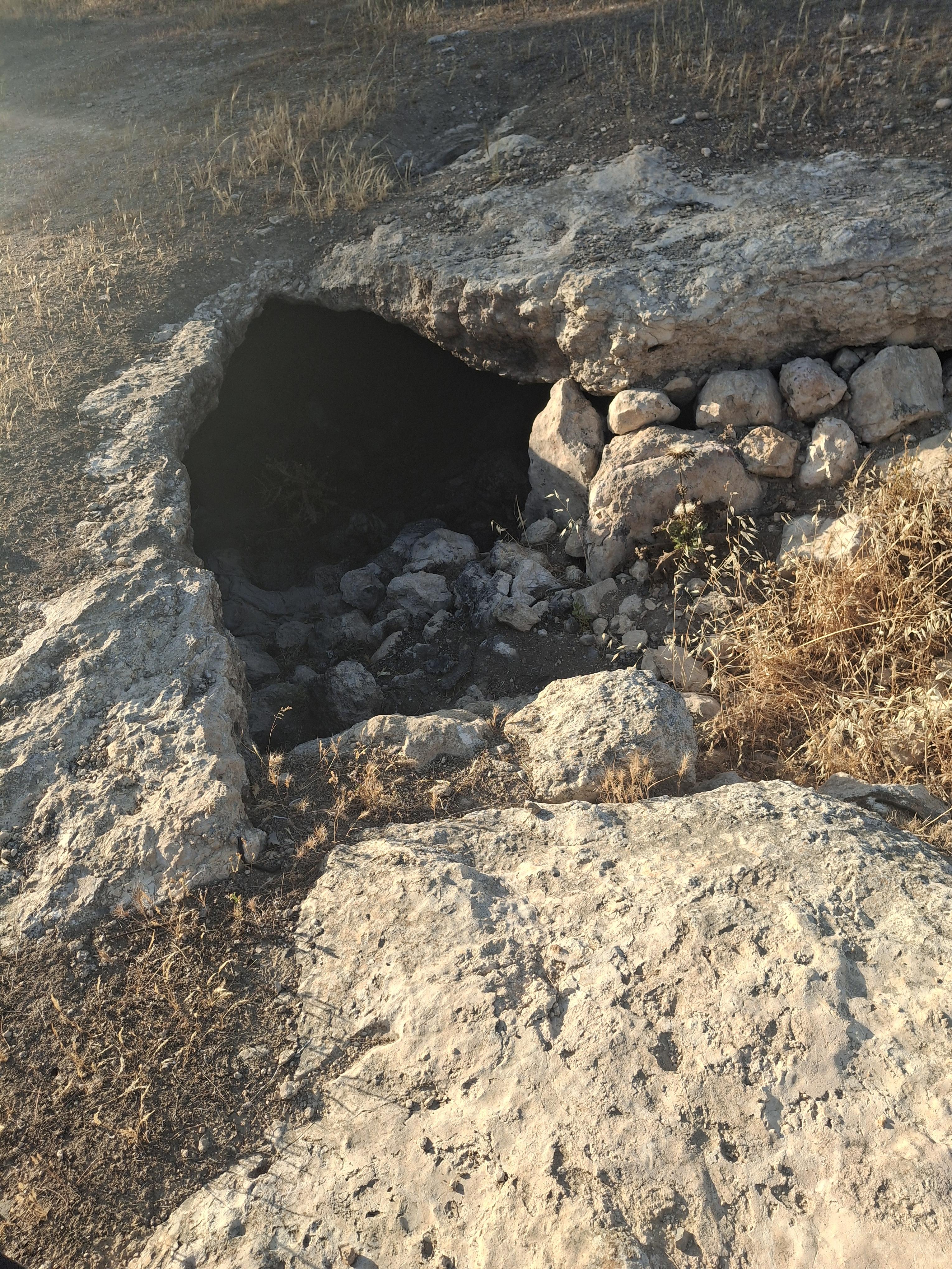קובץ:2025-05-06T18 09 04.515436158227.jpg