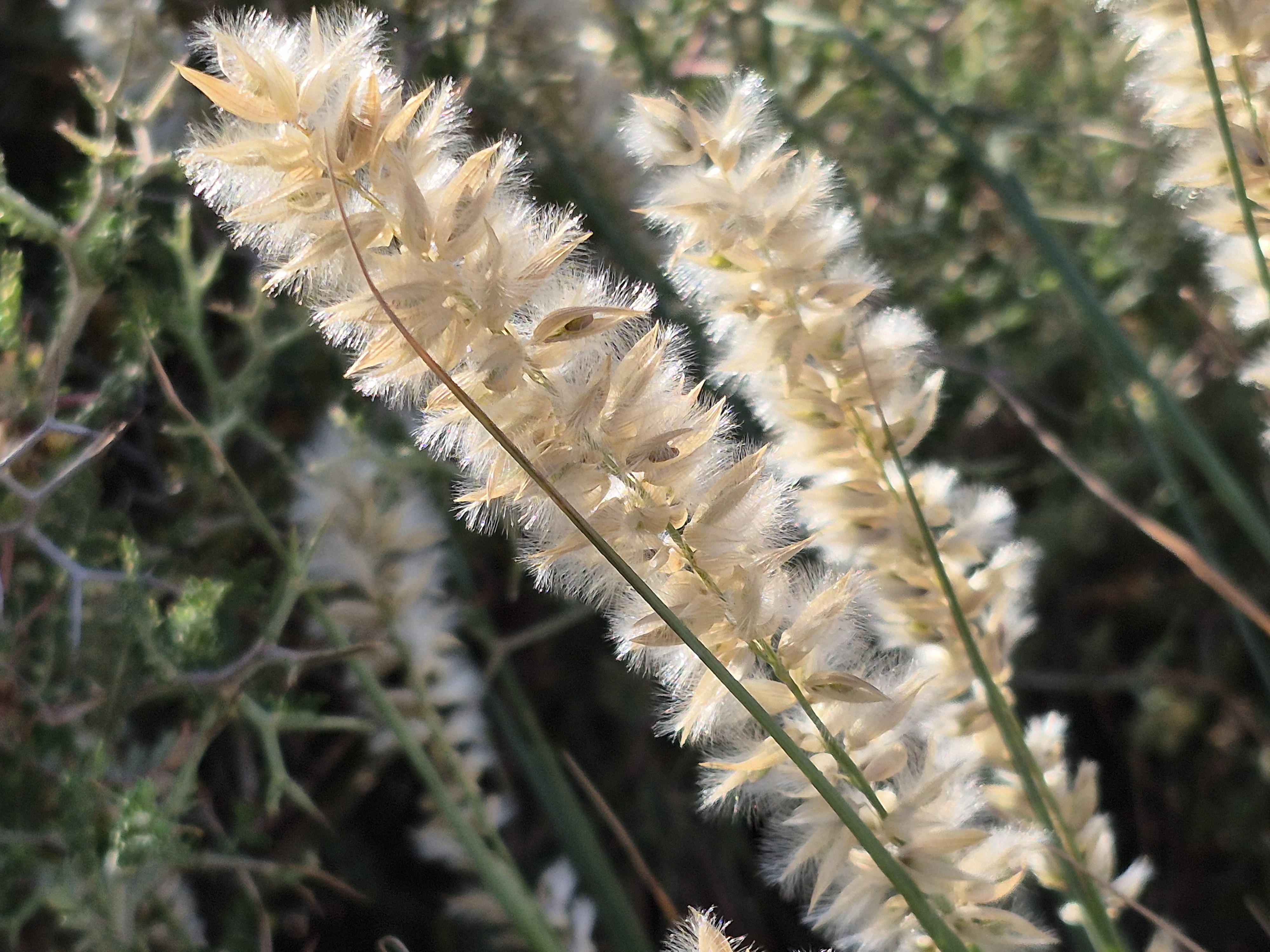 קובץ:2025-05-10T06 51 17.795736848933.jpg