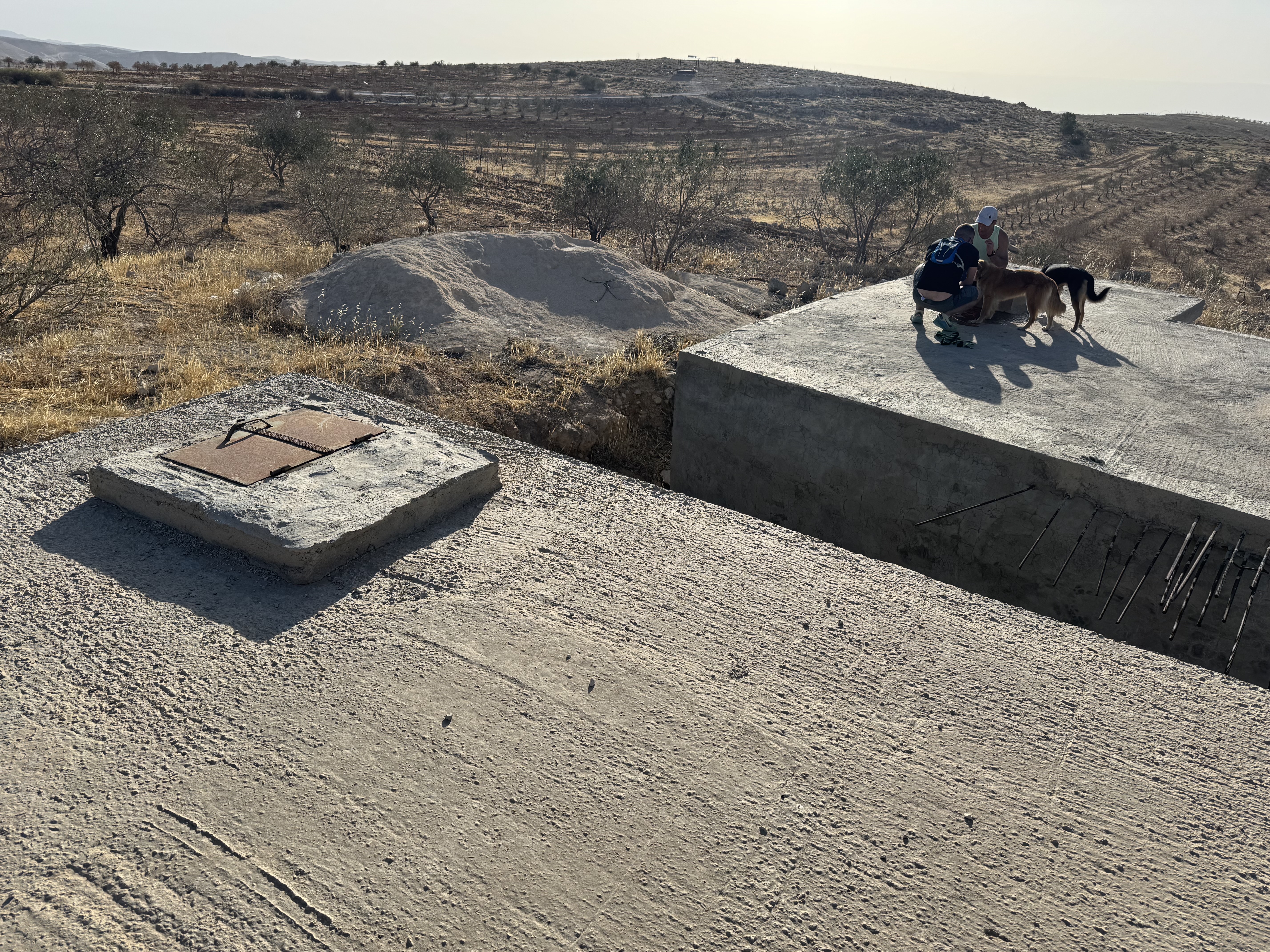 קובץ:2025-05-10T07 27 29.66182113383.jpg