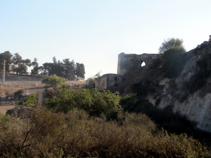 קובץ:Picture 032.jpg