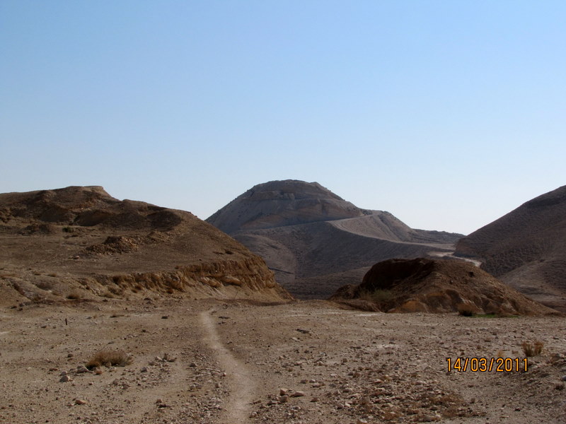 קובץ:Picture 442.jpg