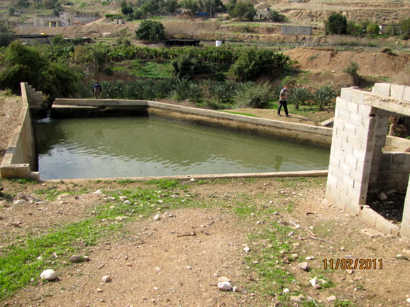 קובץ:Picture 456.jpg