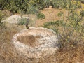 תמונה ממוזערת לגרסה מתאריך 10:01, 21 באוגוסט 2022