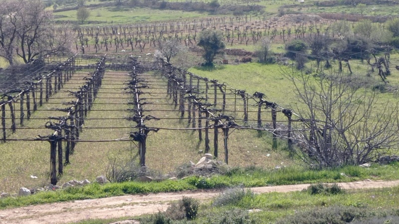 קובץ:איסטיס שיא 30.3.22 עמק-הפירים ש-3.jpeg