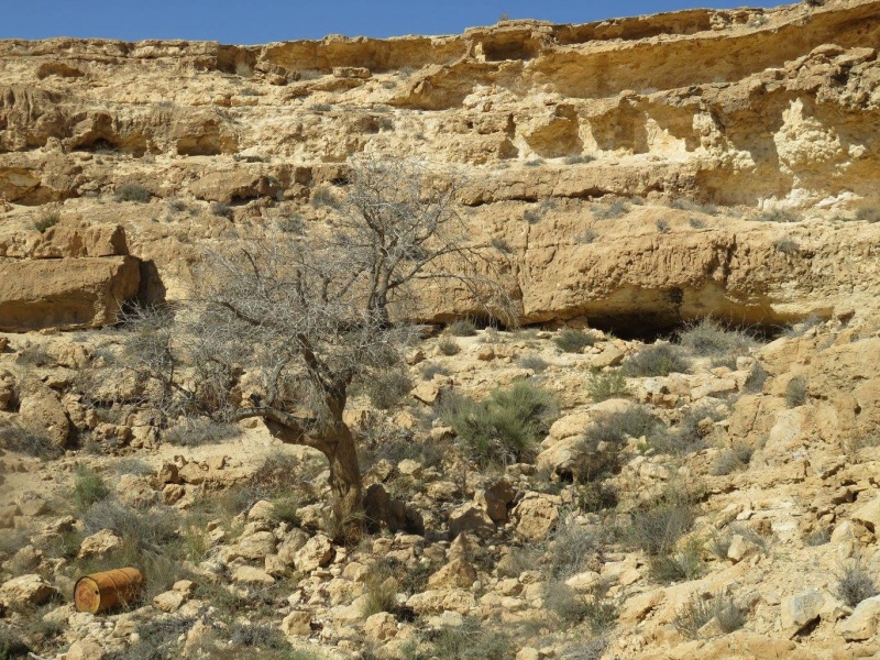 קובץ:אלהאטחמת.jpg