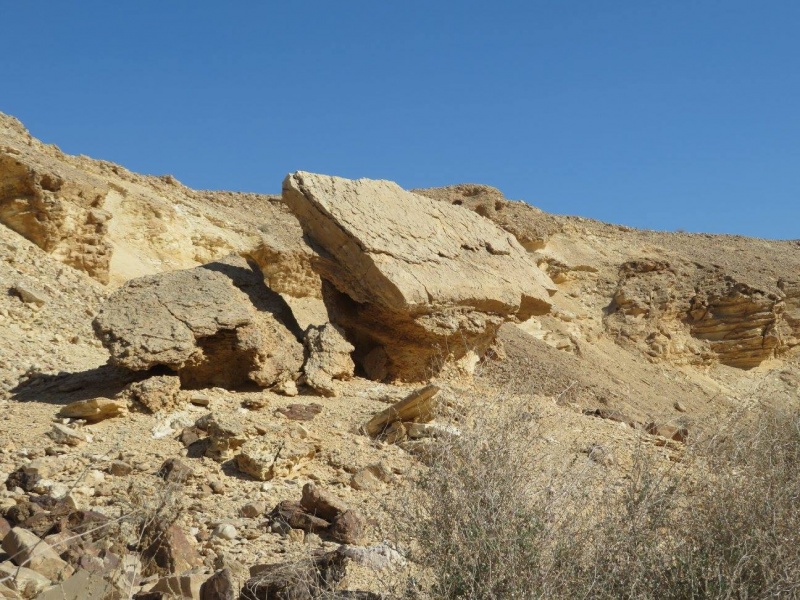 קובץ:אפטרייתטרףארכ.jpg