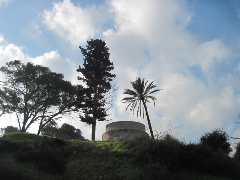 קובץ:בארטירתשלום.JPG