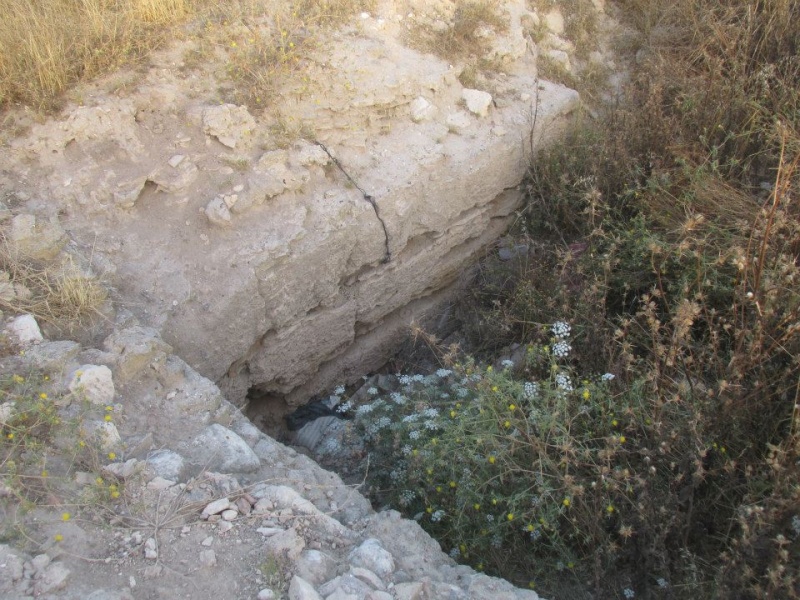 קובץ:בארשמריה.jpg