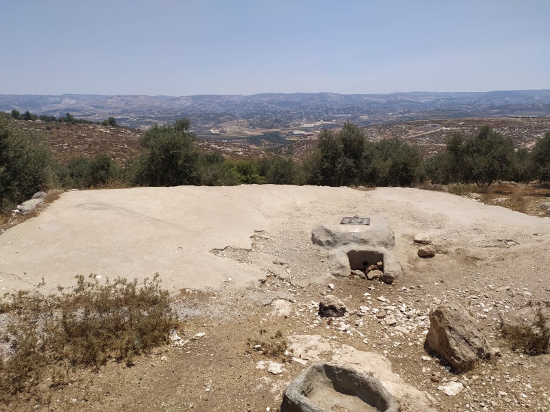 קובץ:בורמיםארסםא.jpg