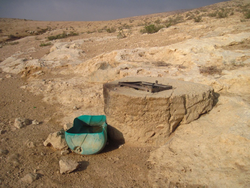 קובץ:בורמיםעמשאתחתית.JPG