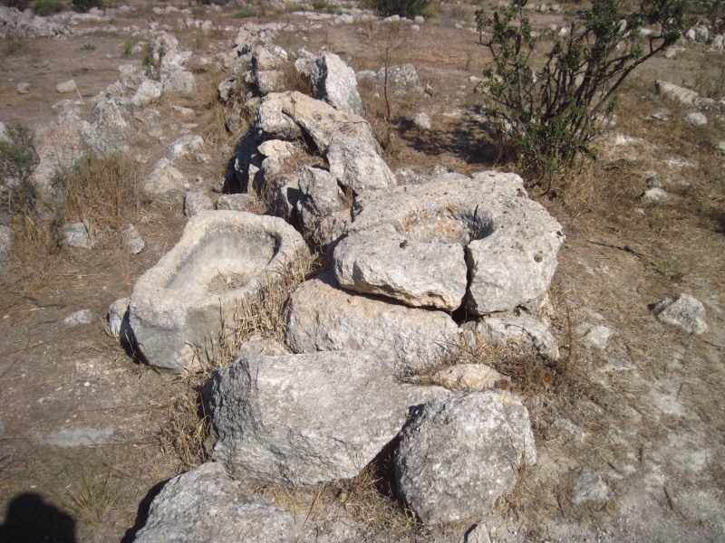 קובץ:בורמיםשקתקנובהצפון.JPG