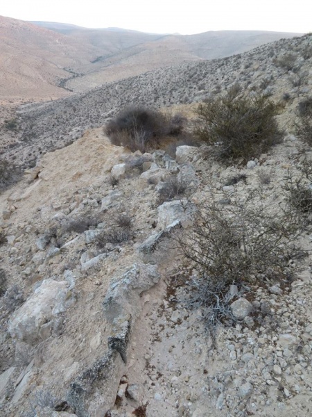 קובץ:בורמיםתעלהבוקר.jpg