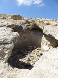 בורמים570מזרח.jpg