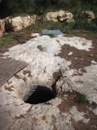 בורמצפהנטופה.JPG