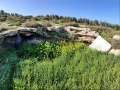 תמונה ממוזערת לגרסה מתאריך 10:45, 5 במרץ 2019