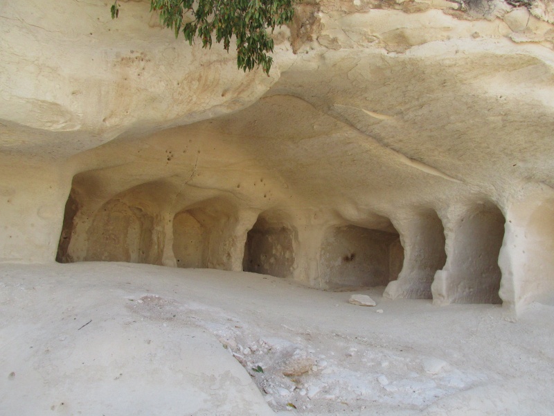 קובץ:ביקיהודיגברין.JPG