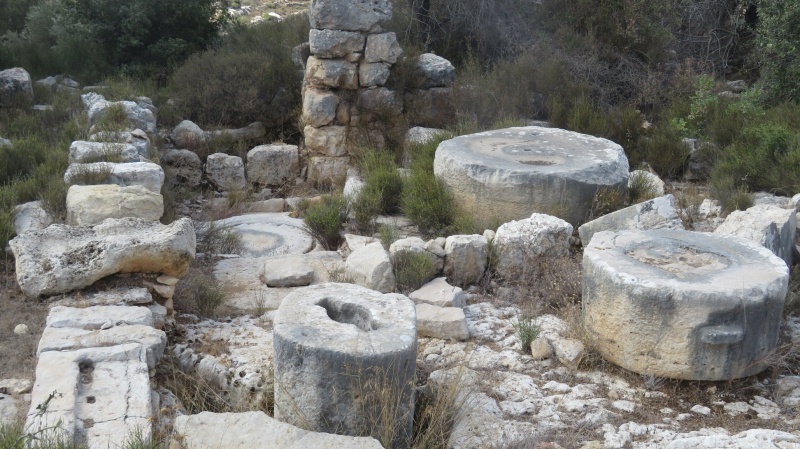 קובץ:ביתבדתאודורוס.jpg