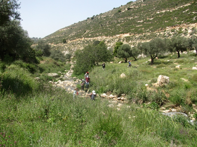 קובץ:בית סילה ונחל מודיעים 055.JPG