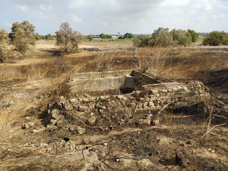 קובץ:בעתדרסברכה.jpg