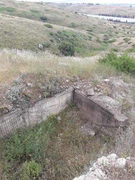 קובץ:בצורבריטישריר.jpg