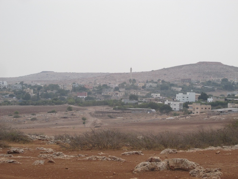 קובץ:ברדלה.JPG