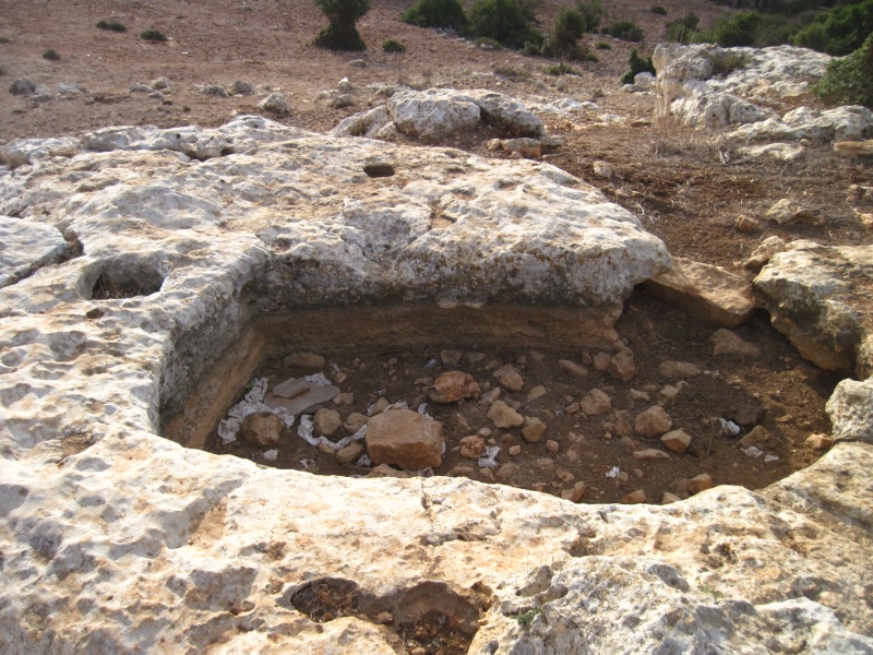 קובץ:בריכהחצובהוטוחהדליה9.JPG