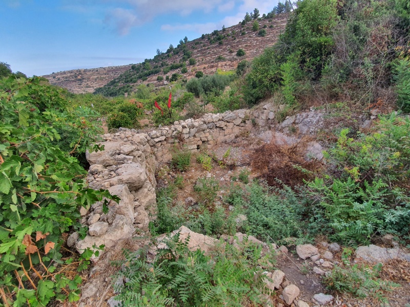 קובץ:בריכה ריקה עין טאו.jpg