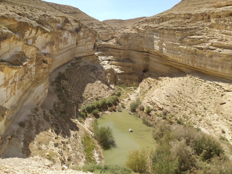 קובץ:בריכתזרחית.jpg