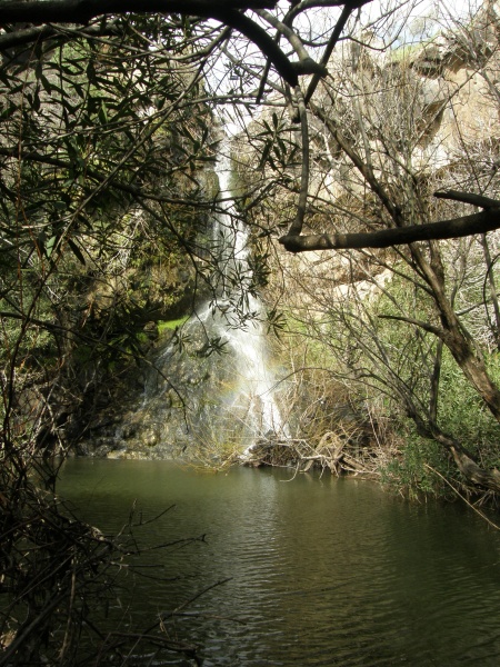 קובץ:בריכת גדען.JPG