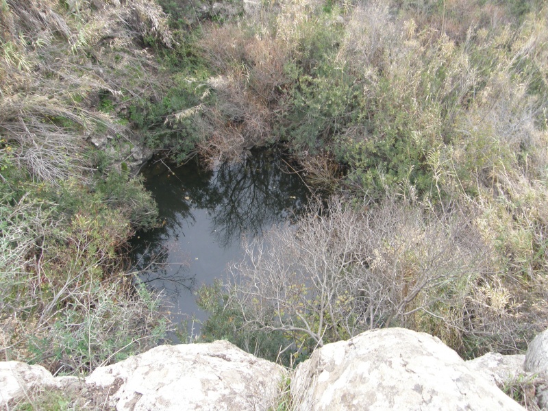 קובץ:בריכת געדן.JPG