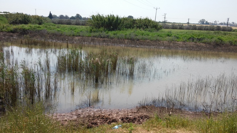 קובץ:בריכת מים מושב נחלים.jpg