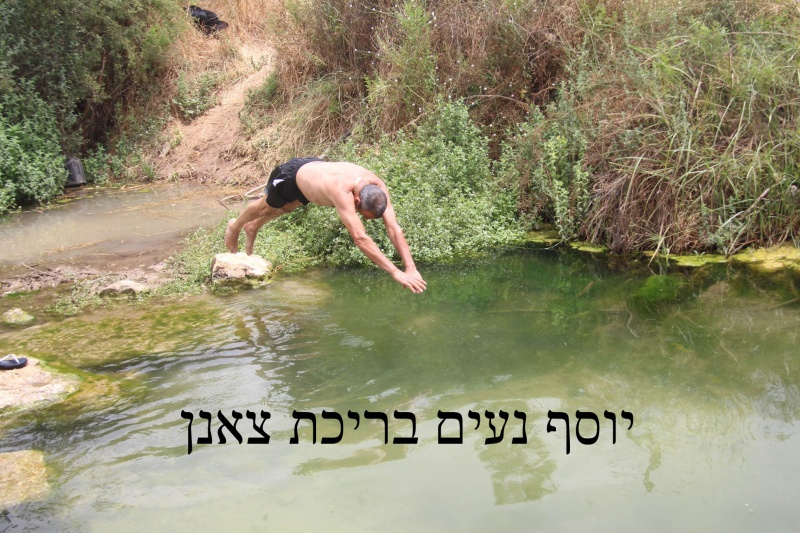 קובץ:בריכת צאנן יוסף נעים.jpg