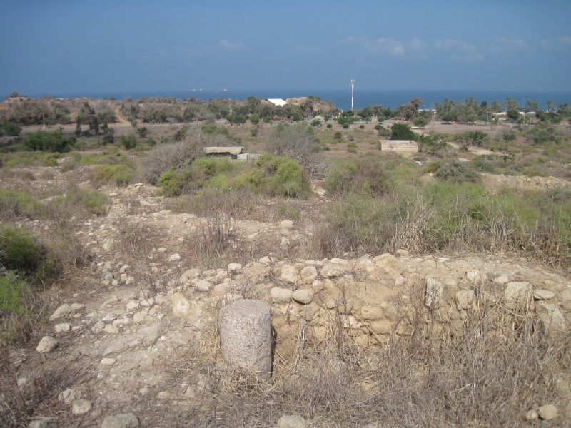 קובץ:ג'ורה.JPG