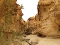 גבי פרס-נחל סדום 12.2010 020 (Large).jpg