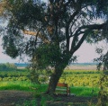 תמונה ממוזערת לגרסה מתאריך 08:58, 5 באוקטובר 2019