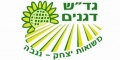 תמונה ממוזערת לגרסה מתאריך 20:39, 3 בנובמבר 2020