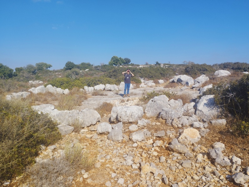 קובץ:גורן עגולה גדולה. משטח נדיר בגודלו בסביבה זו.jpg