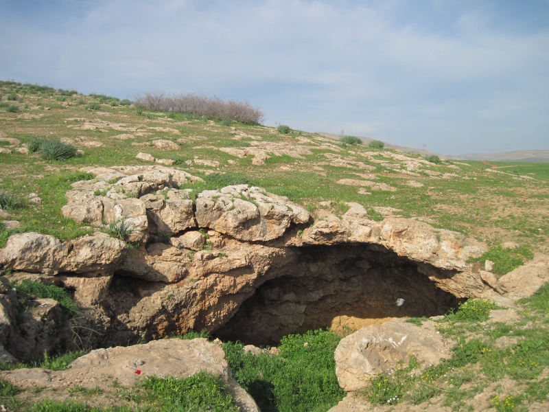 קובץ:גרףאםרומנה.JPG