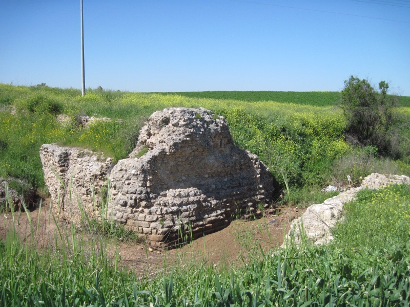 קובץ:גשרוןגברין.JPG