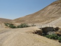 תמונה ממוזערת לגרסה מתאריך 17:05, 18 ביולי 2018