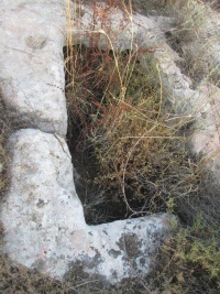 גתגדר.jpg