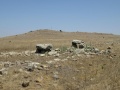 תמונה ממוזערת לגרסה מתאריך 18:12, 22 באוגוסט 2015