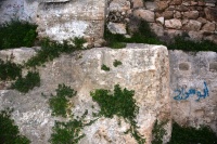 הכפר רמון (ממזרח לענבתה) 30-12-2022 (6).JPG