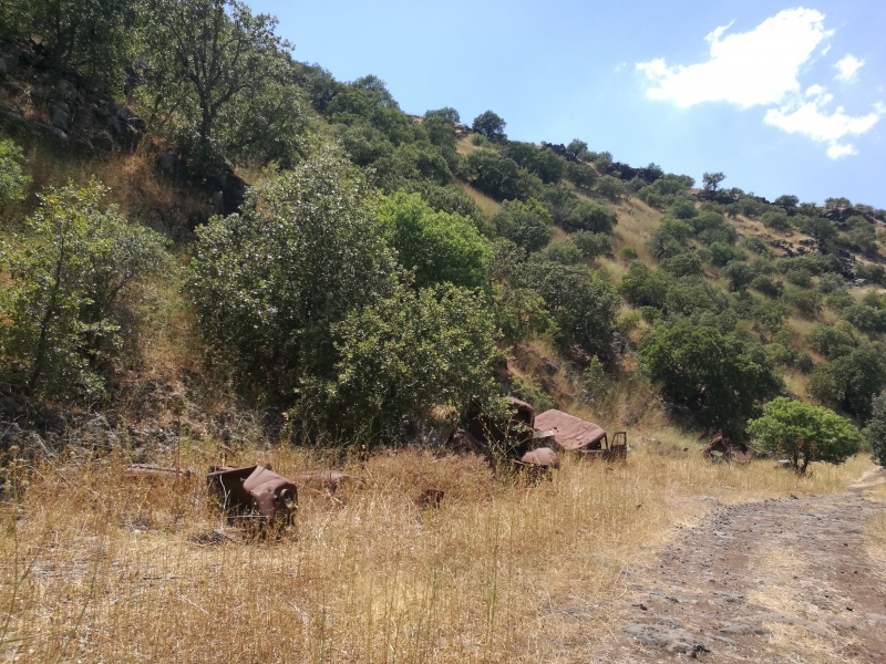 קובץ:המתלה הסורית 20160609 142737.jpg