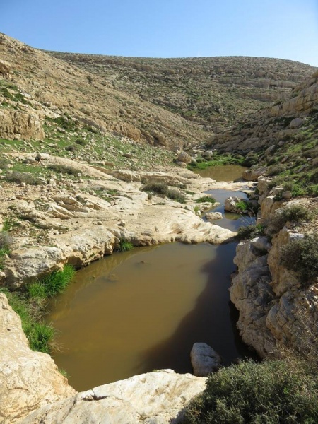 קובץ:ואדיאלקעה.jpg