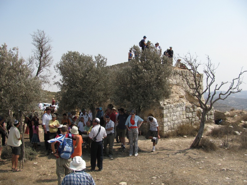 קובץ:זיתון (2).JPG