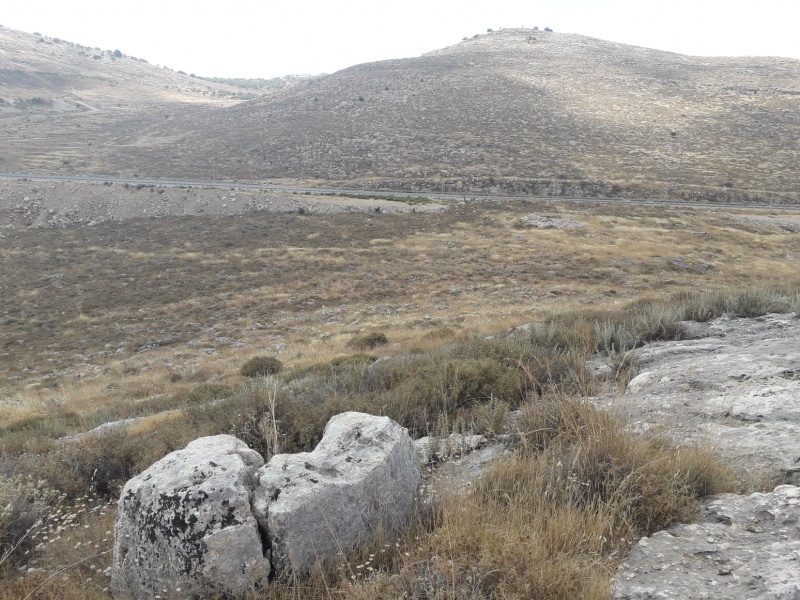 קובץ:חוליהאסייר.jpg